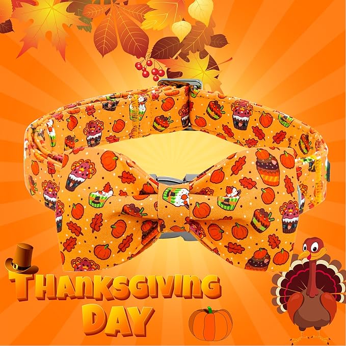 Lionheart glory Thanksgiving Dog Collar