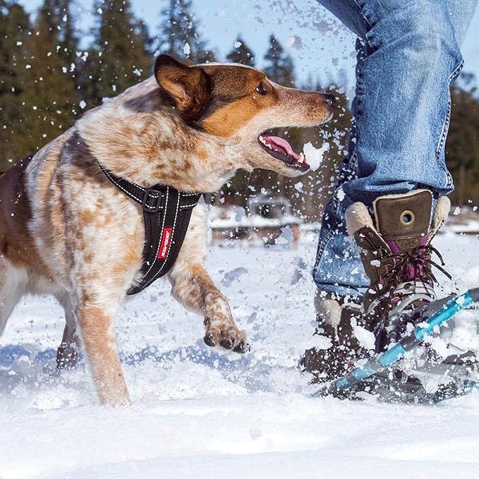 EzyDog Premium Chest Plate Custom Fit Reflective No-Pull Padded Comfort Dog Harness