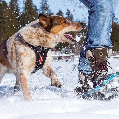 EzyDog Premium Chest Plate Custom Fit Reflective No-Pull Padded Comfort Dog Harness