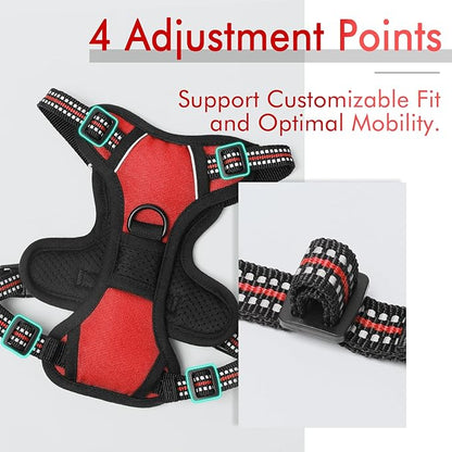 rabbitgoo Dog Harness 2 Leash