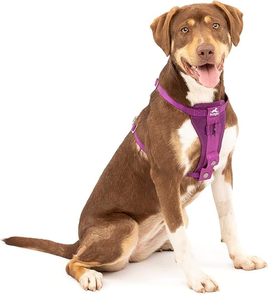 Kurgo Tru-Fit Enhanced Strength Dog Harness - Crash Tested Car Safety Harness for Dogs, No Pull Dog Harness, includes Pet Safety Seat Belt, Steel Nesting Buckles (Deep Violet, Medium)