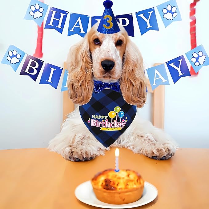 Dog Birthday Party Supplies 0-9 Numbers,Puppers