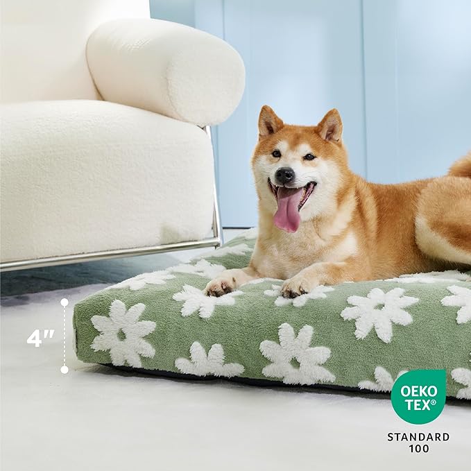 Lesure Dog Bed Medium Size Dog-Thick Shredded Chopped Foam Pet Bed Bottom(30'x20', Green)