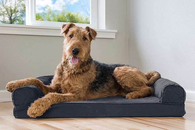 Furhaven Memory Foam Dog Bed for Large/Medium Dogs w/ Removable Bolsters & Washable Cover 55 lbs