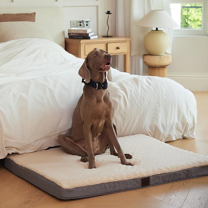 DaysU Dog Bed for Extra Large Dogs 100 Ibs, 44x32x3in