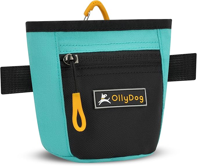 OllyDog Goodie Treat Bag, Dog Treat Pouch, Waist Belt Clip for Hands-Free Training, Magnetic Closure, Dog Training and Behavior Aids, Three Ways to Wear (Bright Aqua)