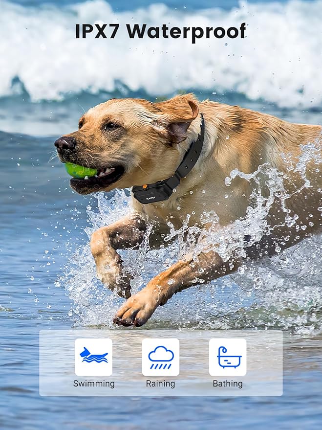 Dog Training Collar 2950FT Remote IPX7 Waterproof, 3 Training