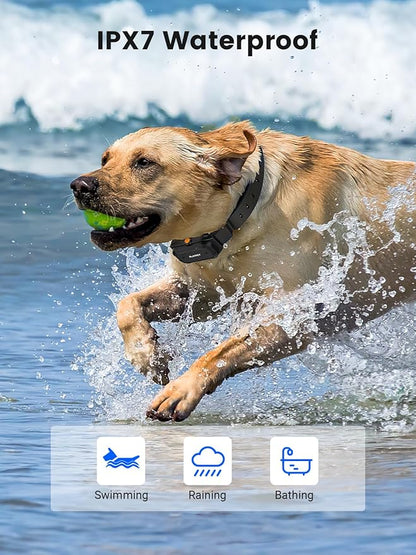 Dog Training Collar 2950FT Remote IPX7 Waterproof, 3 Training