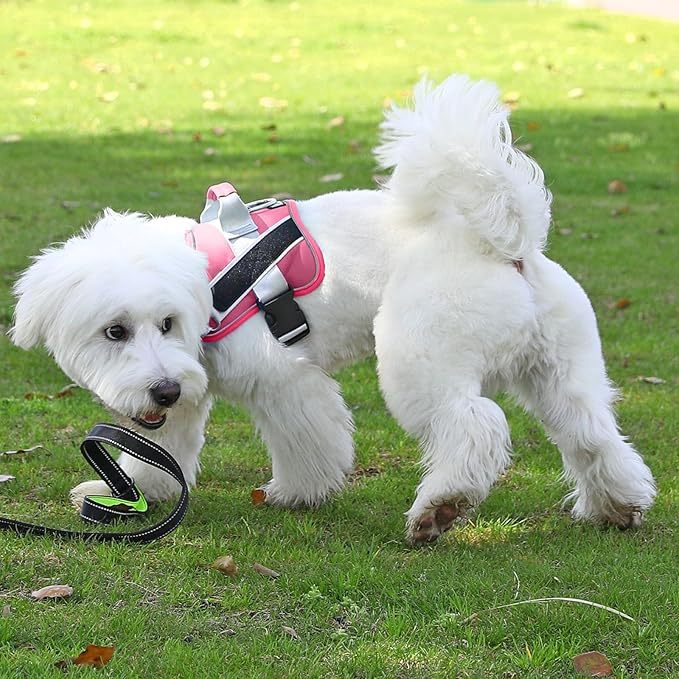 Bolux Dog Harness 1))