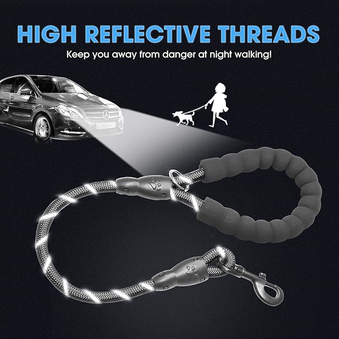 BAAPET 2/4/5/6 FT Dog Leash with Comfortable Padded Handle and Highly Reflective Threads for Small Medium and Large Dogs (2FT-1/2''