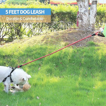 BAAPET 2/4/5/6 FT Dog Leash with Comfortable Padded Handle and Highly Reflective Threads for Small Medium and Large Dogs (5FT-1/2''