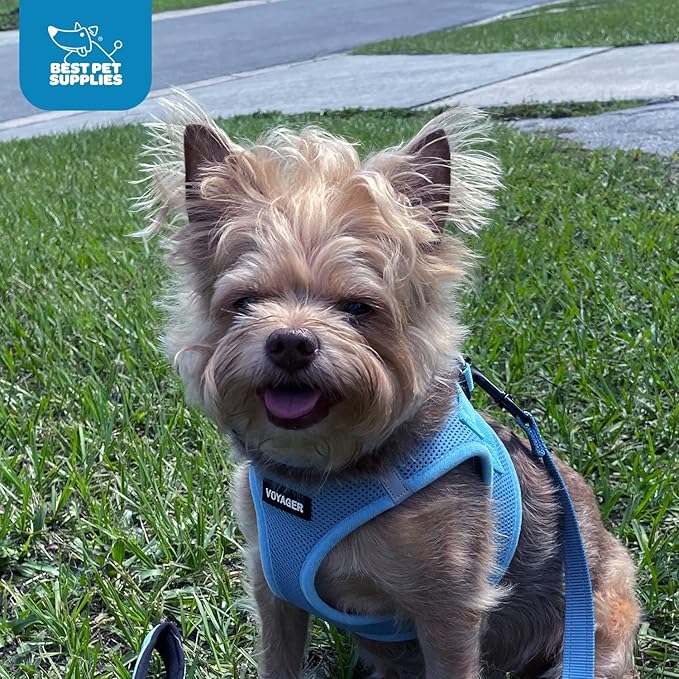 Voyager Step-in Air Dog Harness - All Weather Mesh Step in Vest Harness for Small and Medium Dogs and Cats by Best Pet Supplies - Harness (Baby Blue), XL (Chest: 20.5-23")