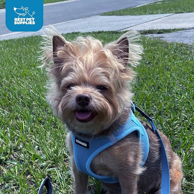 Voyager Step-in Air Dog Harness 13-14.5")