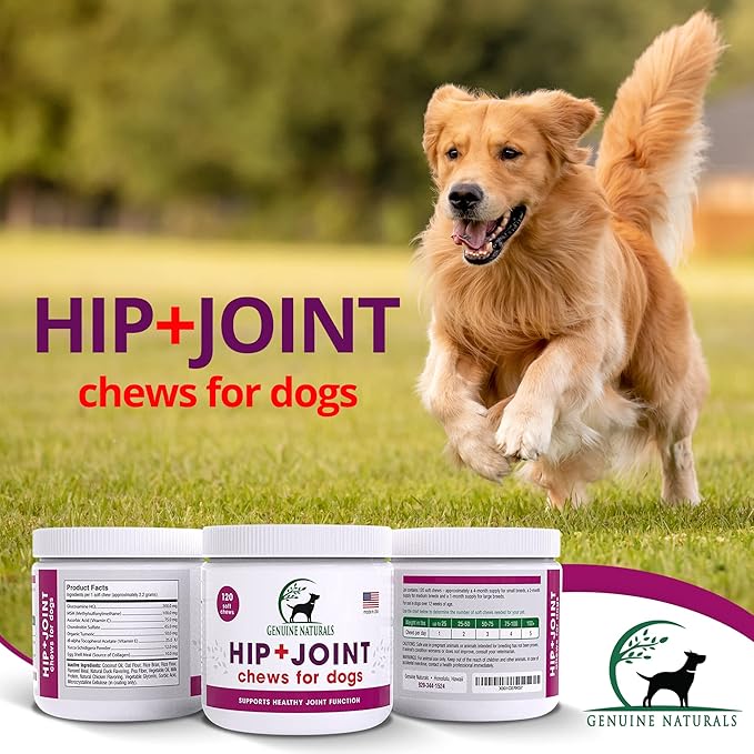 Hip and Joint Supplement for Dogs Relief,120 Count