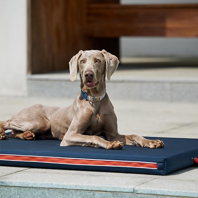 Bedsure Chewproof Durable Outdoor Waterproof Dog Bed with Heavy Duty Cover (44"x32", Navy