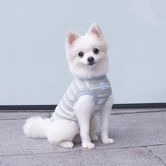 Striped Teacup Pet Dog T-Shirts 100% Cotton