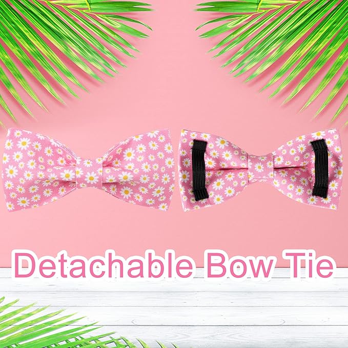 Summer Dog Collar with Bow Tie 8-12in