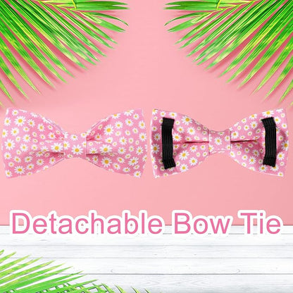 Summer Dog Collar with Bow Tie 16-26in