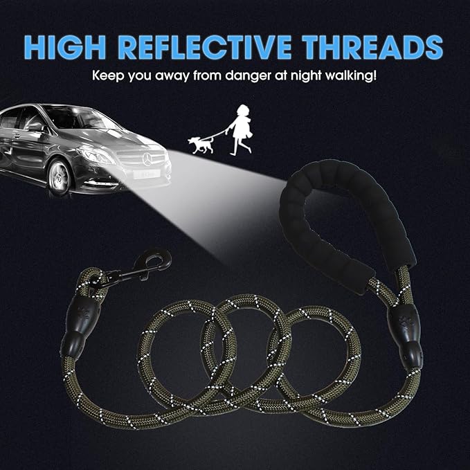 BAAPET 2/4/5/6 FT Dog Leash with Comfortable Padded Handle and Highly Reflective Threads for Small Medium and Large Dogs (5FT-1/2''