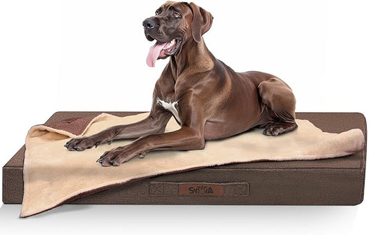 Sytopia Orthopedic Extra Large Dog Beds with Detachable Blanket