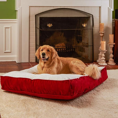 South Pine Porch Buddy Rectangle Pillow Style Dog Bed (48" x 36")