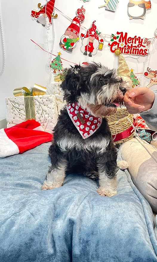 Lionet Paws Christmas Dog Bandana Washable Cotton Handkerchief