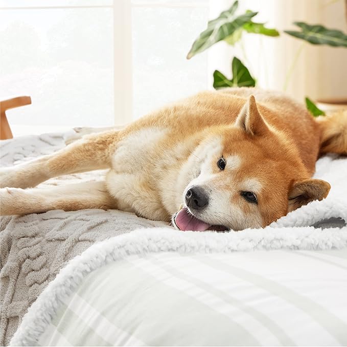 Bedsure Waterproof Dog Blankets for Large Dogs 40"x50", Taupe