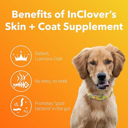 In Clover Dog Skin and Coat Supplement, BioRadiant Natural Supplement for Dogs, Healthy Skin and Coat Supplement, Fish Oil Alternative Uses Carrots, Coconut, Omega 3's, Biotin and Zinc Soothe Skin