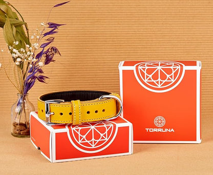 Soft Leather Dog Collar