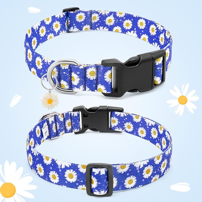 BiPawTi Floral Dog Collar for Girl Boy