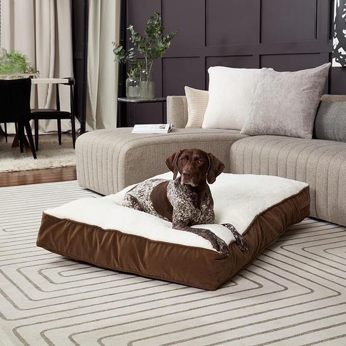 Buster Deluxe Reversible Pillow Style Sherpa Dog Bed (48 x 36 in.)