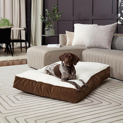 Buster Deluxe Reversible Pillow Style Sherpa Dog Bed (48 x 36 in.)
