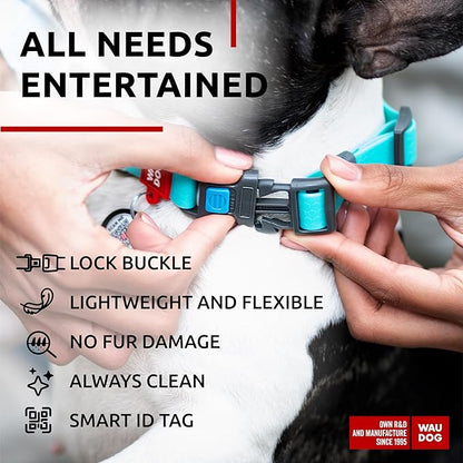 Waterproof Dog Collar (11" - 15 1/2"