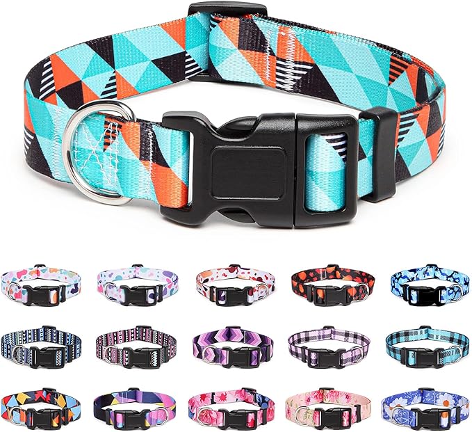 Adjustable Dog Collar with Patterns