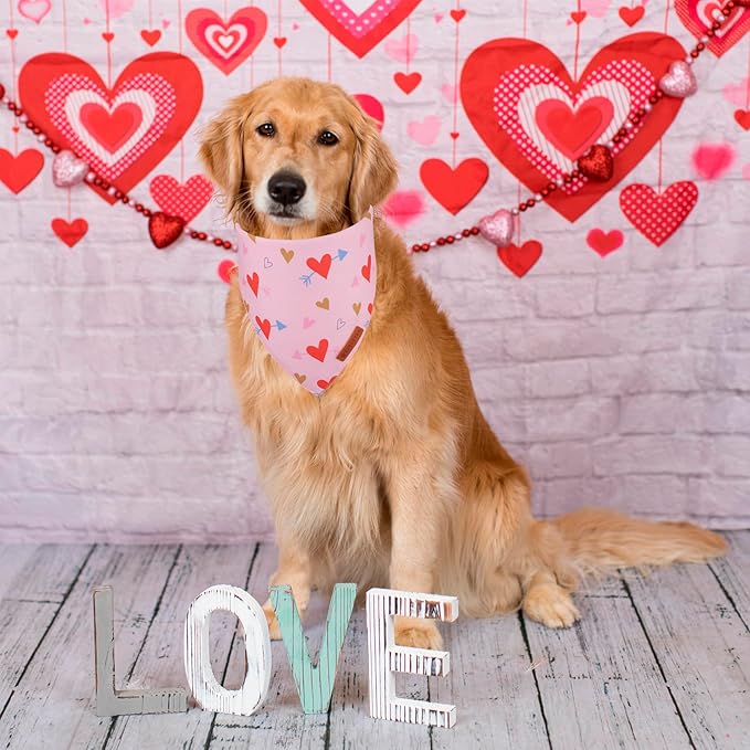ADOGGYGO Valentine's Day Dog Bandana