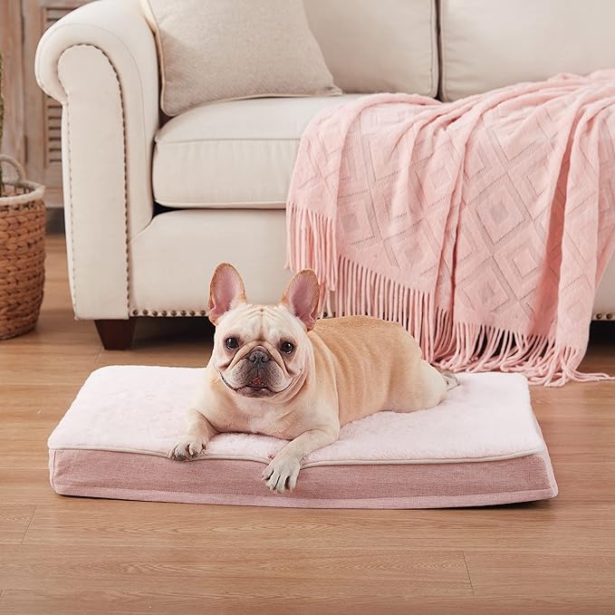 Medium Dog Beds for Medium Dogs