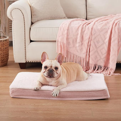 Medium Dog Beds for Medium Dogs