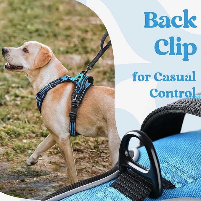 rabbitgoo Dog Harness for Large, No Pull Pet Harness with 3 Buckles, Adjustable Soft Padded Dog Vest with Instant Control Handle, Easy Walking Reflective Pet Vest for Extra Large Dogs, Sky Blue, XL