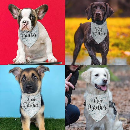 Big Brother Dog Bandanas Gender Reveal Pregnancy Announcement