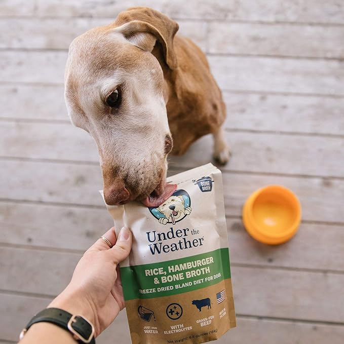 Under the Weather Easy to Digest Bland Diet for Sick Dogs - Always Be Ready - Contains Electrolytes - Gluten Free, All Natural, Freeze Dried 100% Human Grade Meats - Hamburger, Rice & Bone Broth