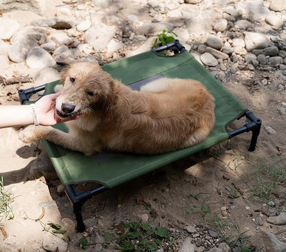 Green Elevated Dog Bed for Medium Dogs Outdoor,30 * 24 * 7 inches