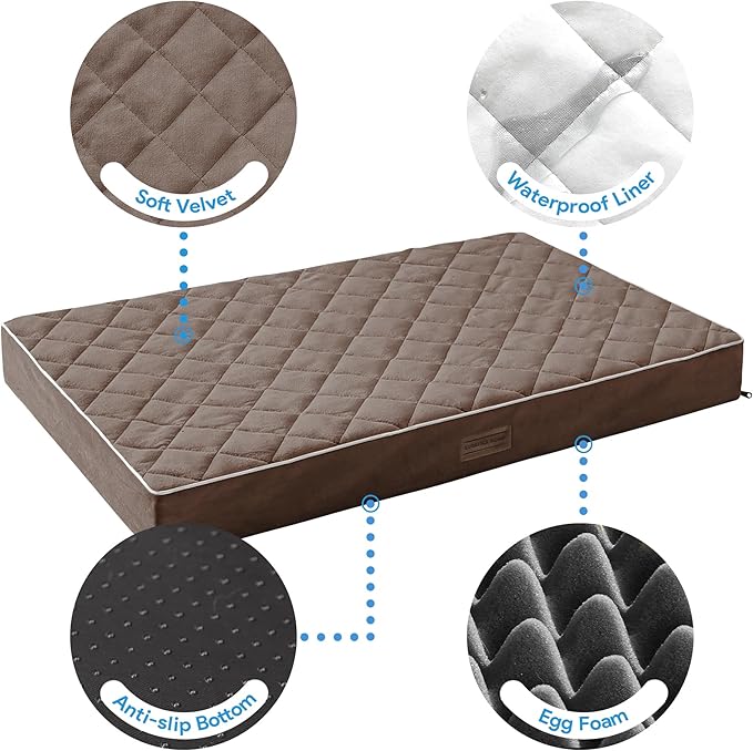 SunStyle Home Orthopedic Dog Beds for Small Dogs