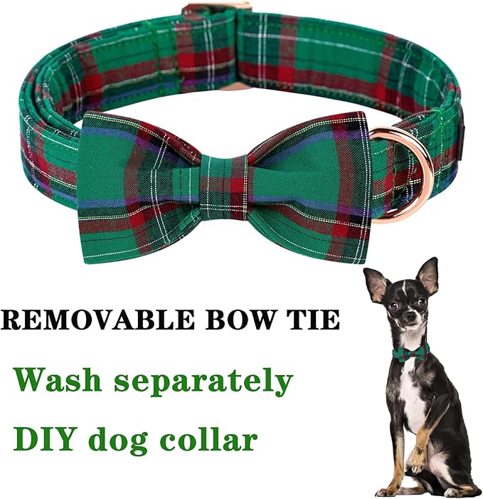 Unique style paws Dog Collar with Bow Tie