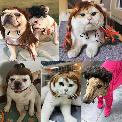 Funny Dog Wig Pet Costumes,Kediciz Cat Costume Synthetic Hairpiece Cosplay Wigs, Headwear for Halloween Christmas Festivals Party Decor, Fancy Dress,Adjustbale Size,Golden Straight