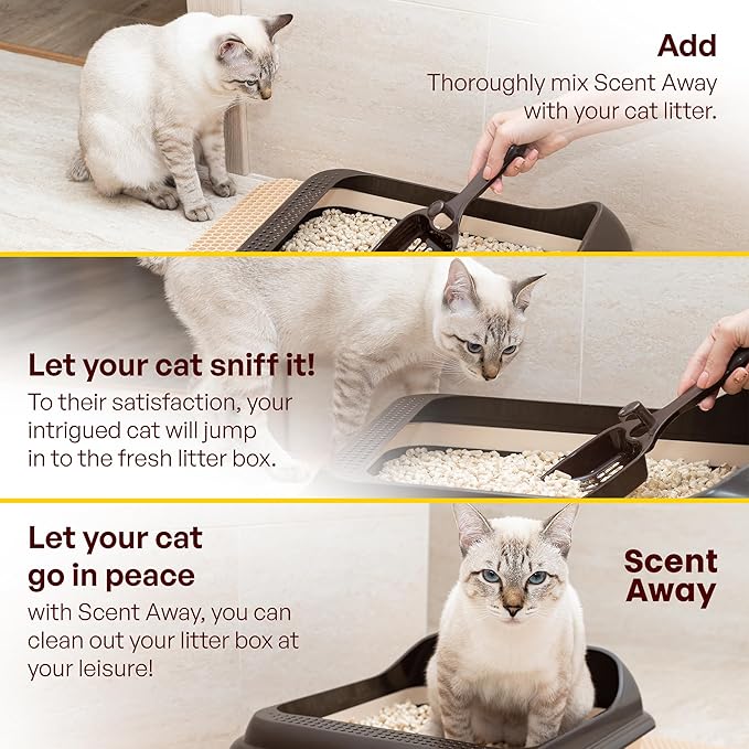 Cat litter Deodorizer Litter Box Odor Eliminator | Fragrance Free Cat Litter Deodorizer with ACTIVE CARBON | Eliminates Cat Odors and Smells to Keep Your Home Fresh and Clean (Pack of 1)