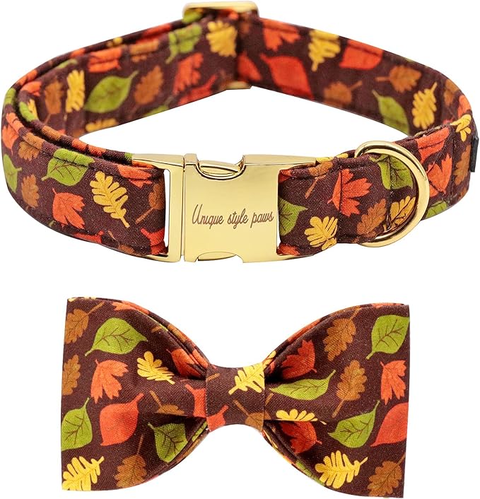 Unique style paws Fall Dog Collar with Bow