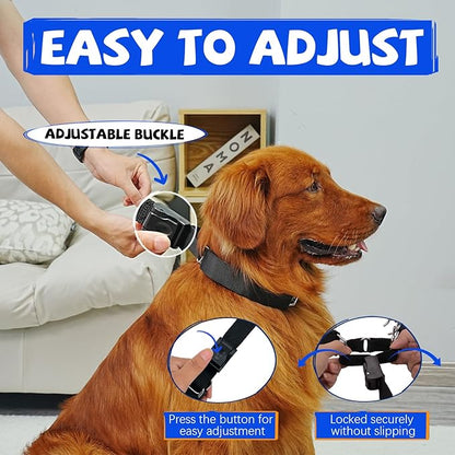 Adjustable Buckle Dog Training Collar for Large Medium Small Dogs