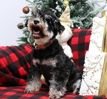 Unique style paws Dog Collar Metal Buckle Collar