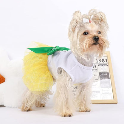 Dog Dresses for Small Medium Dogs Girl Pineapple Mesh Dress Dog Outfit