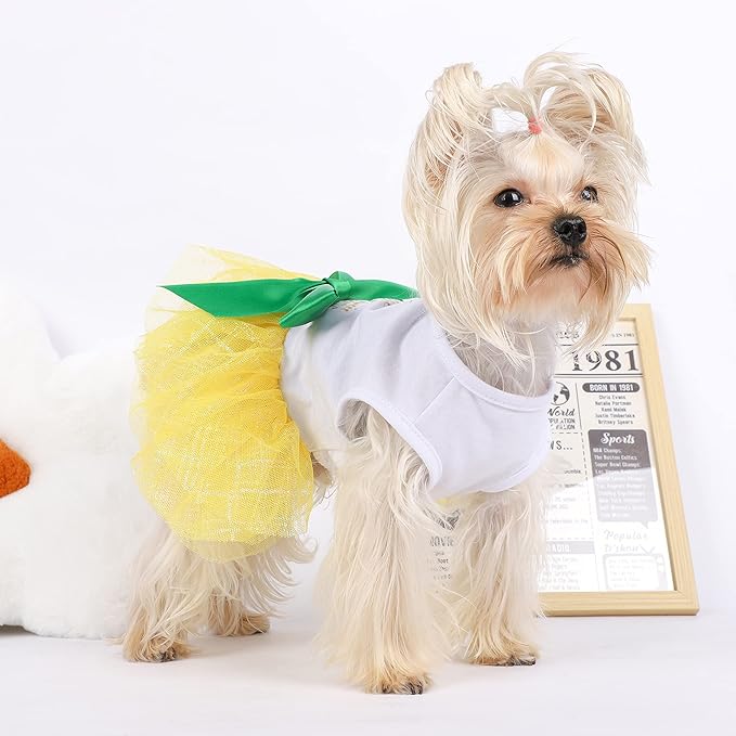 Dog Dresses for Small Medium Dogs Girl Pineapple Mesh Dress Dog Outfit